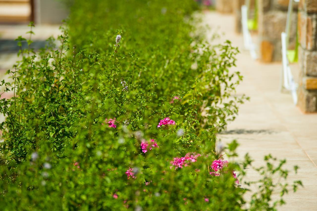 Olive Land Villas يميناريا المظهر الخارجي الصورة